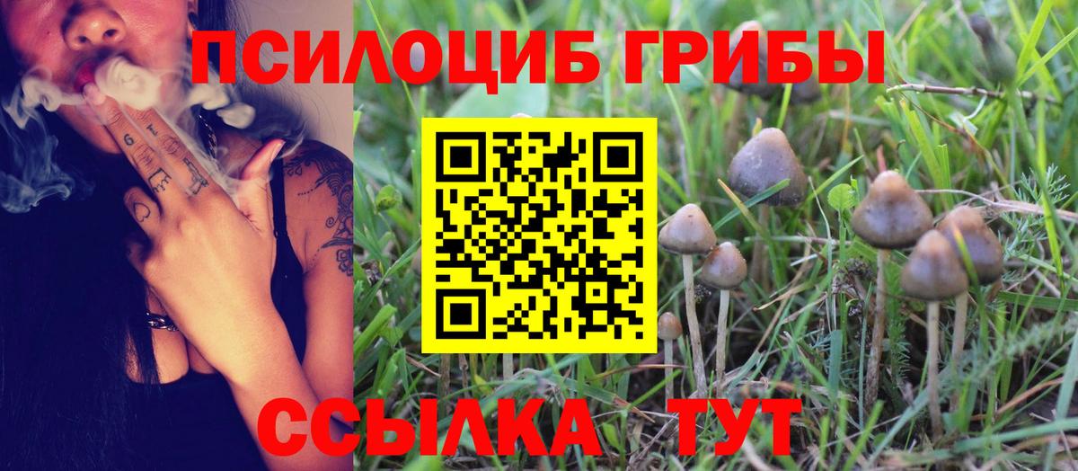 Галлюциногенные грибы прущие грибы  Галлюциногенные грибы мицелий  Радужный  Вход с VPN 
